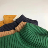 Knitted chunky turtle neck jumper