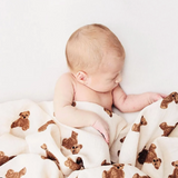 Luxury Teddy Bear Blanket